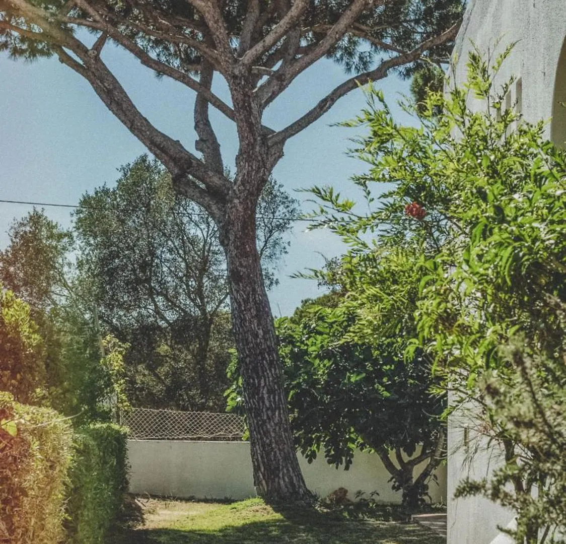 Pine House - Faro Airport, Beach And City Center Bed & Breakfast