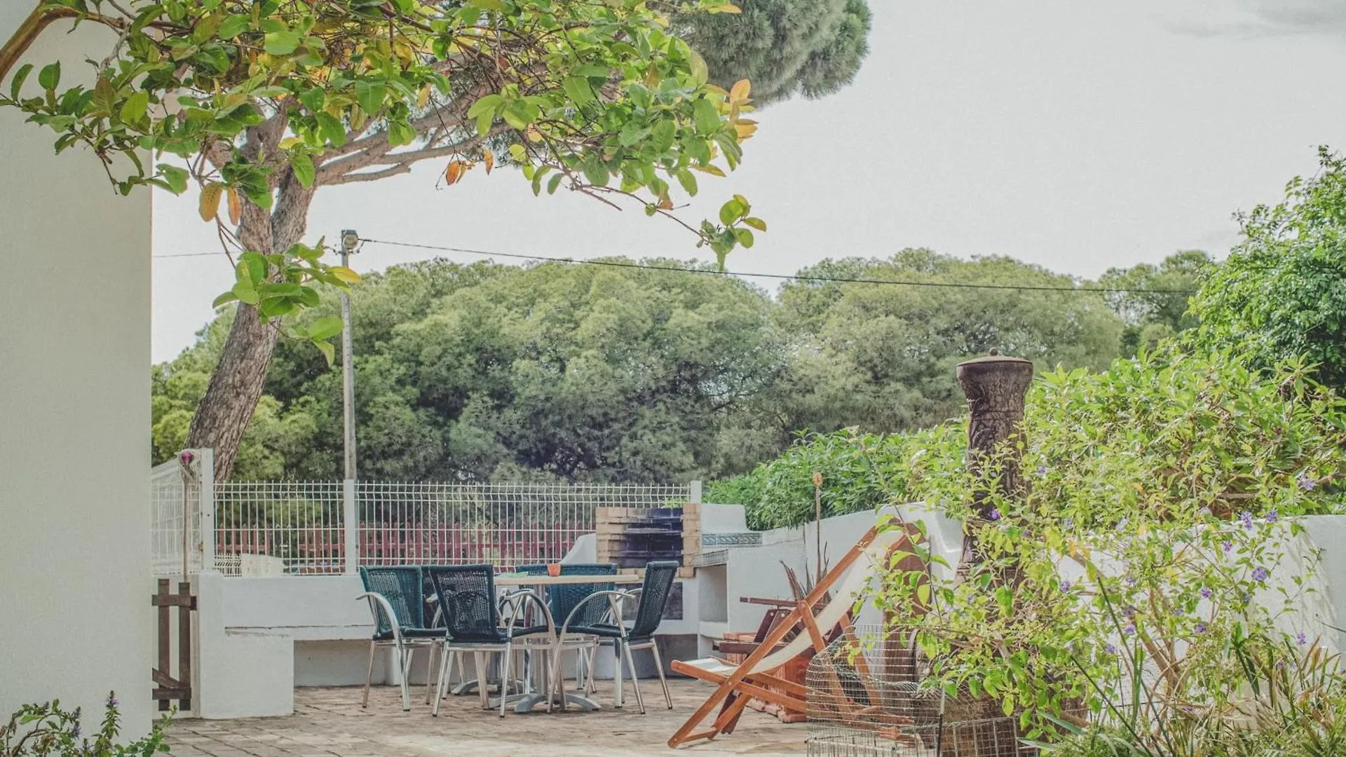 Bed & Breakfast Pine House - Faro Airport, Beach And City Center Portugal